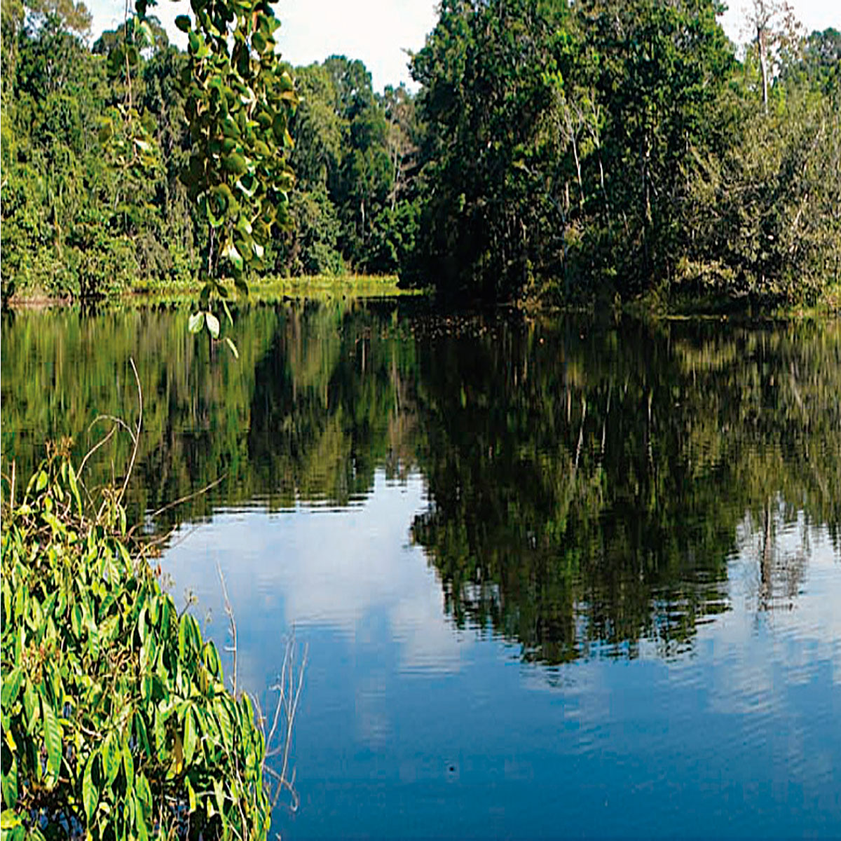 Laguna Espejo