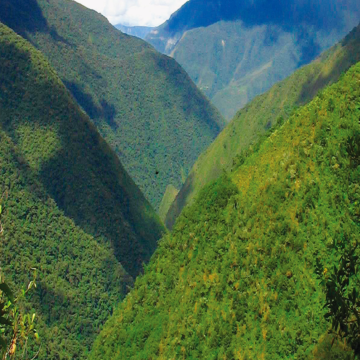 Sitio Arqueologico Tequeje