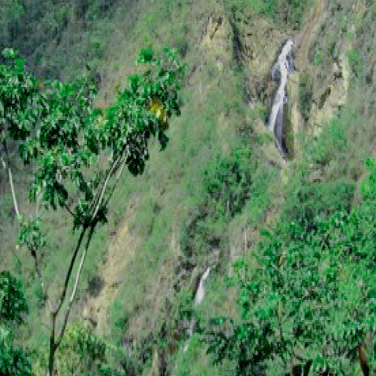 Cascada Flor de Mayo