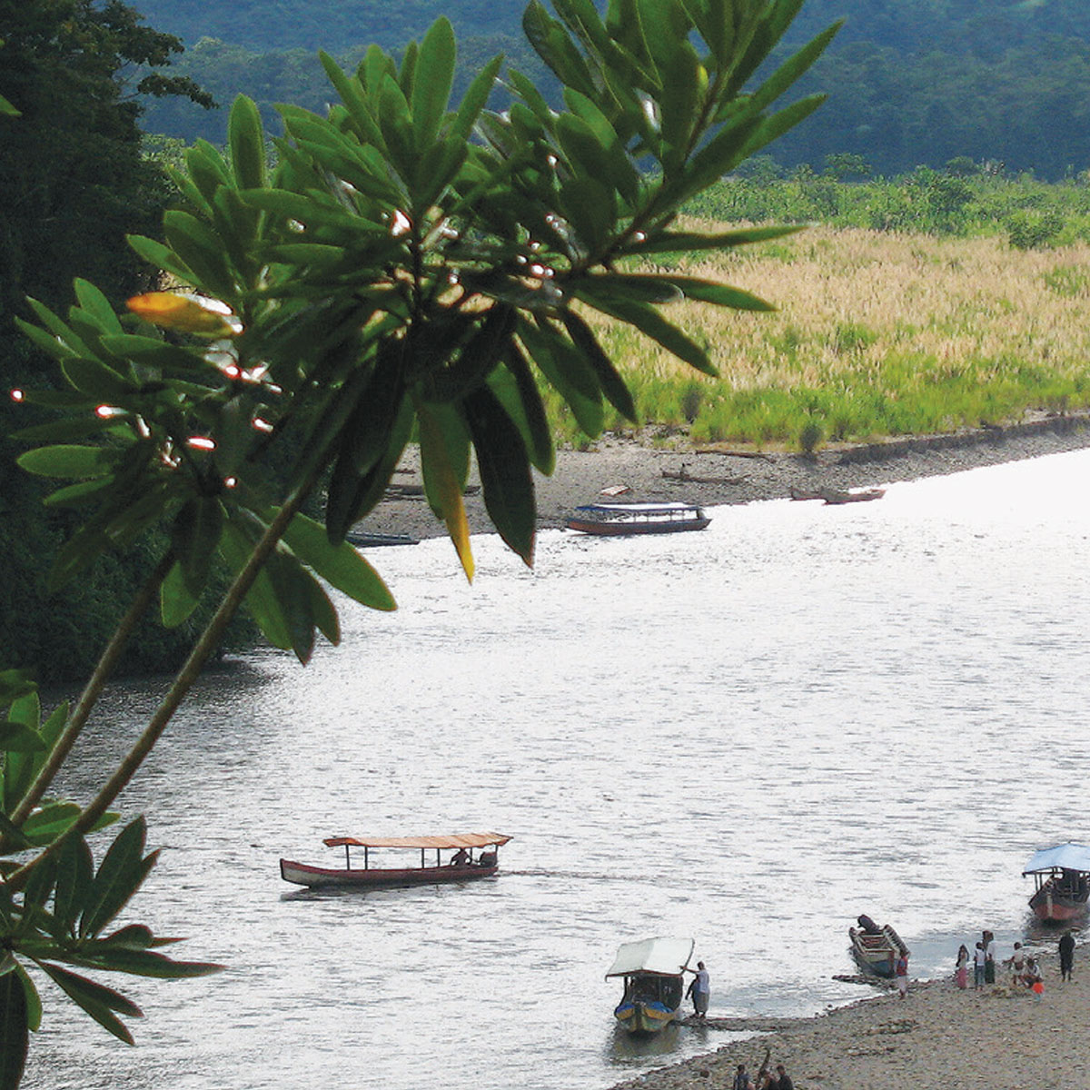 Ruta Fluvial Mapiri Guanay