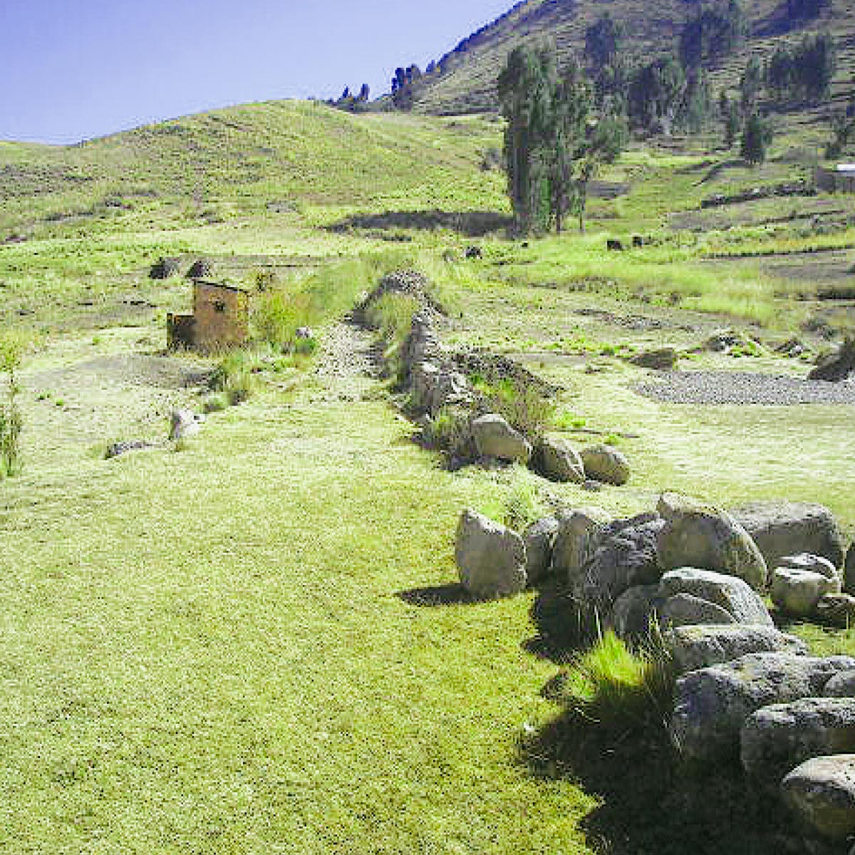 Camino Prehispanico Tiquina Sampaya - Yumpata