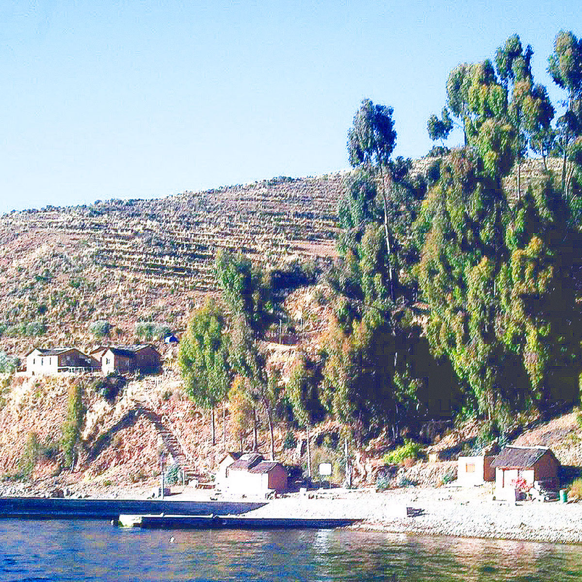 Isla de la Luna o koati