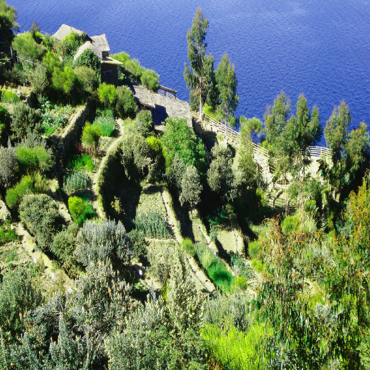 Vertientes Jardin del Inca