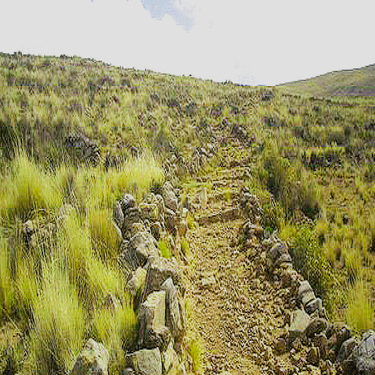 Camino Tiquina - Copacabana