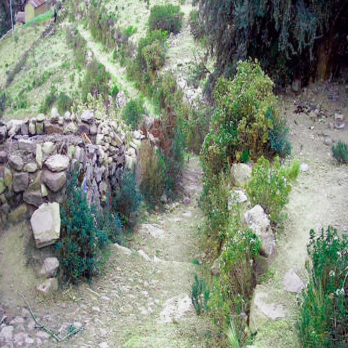 Camino Prehispánico Chichilaya Orilla del Lago Tito Yupanqui