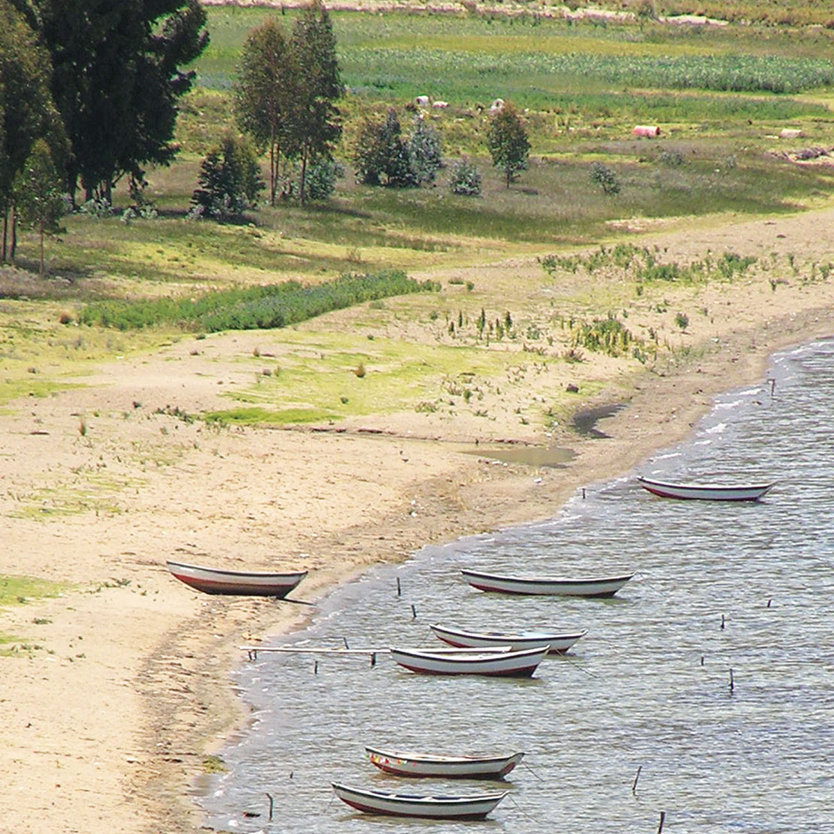 Bahia de Ispaya Grande