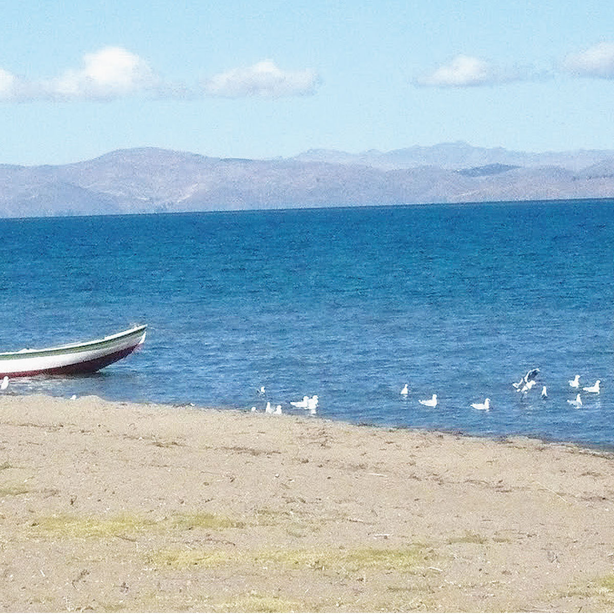 Playa Lojrocachi