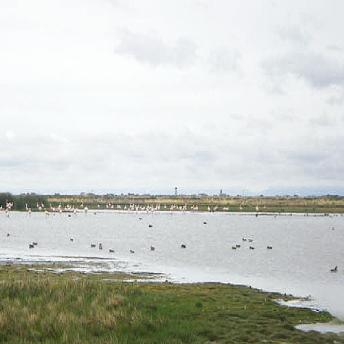 Laguna Totoral San Juan de Sirka