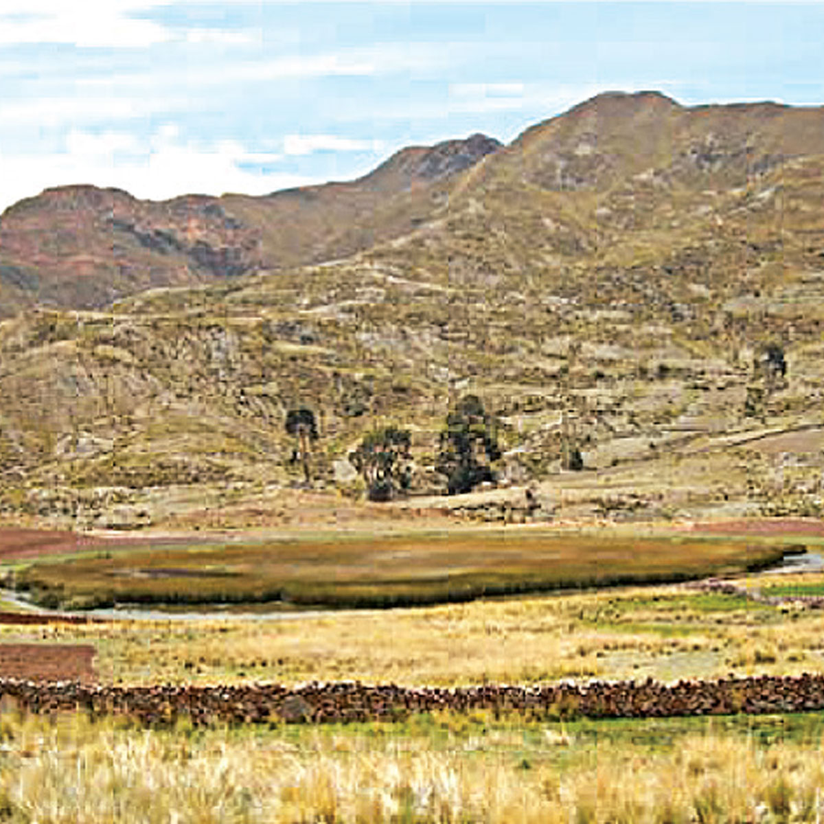 Laguna de Totorkota