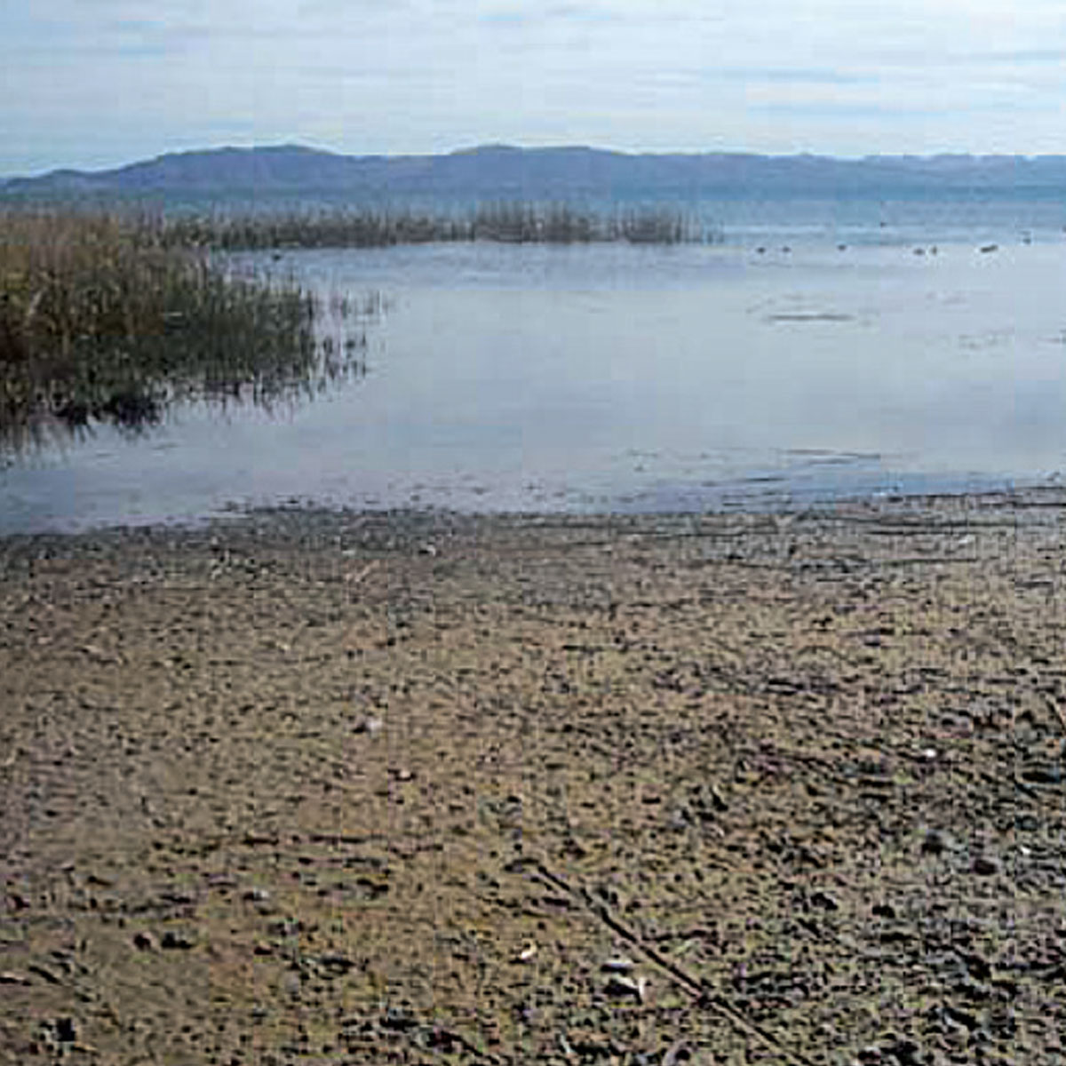 Sitio Arqueológico de Coacollo