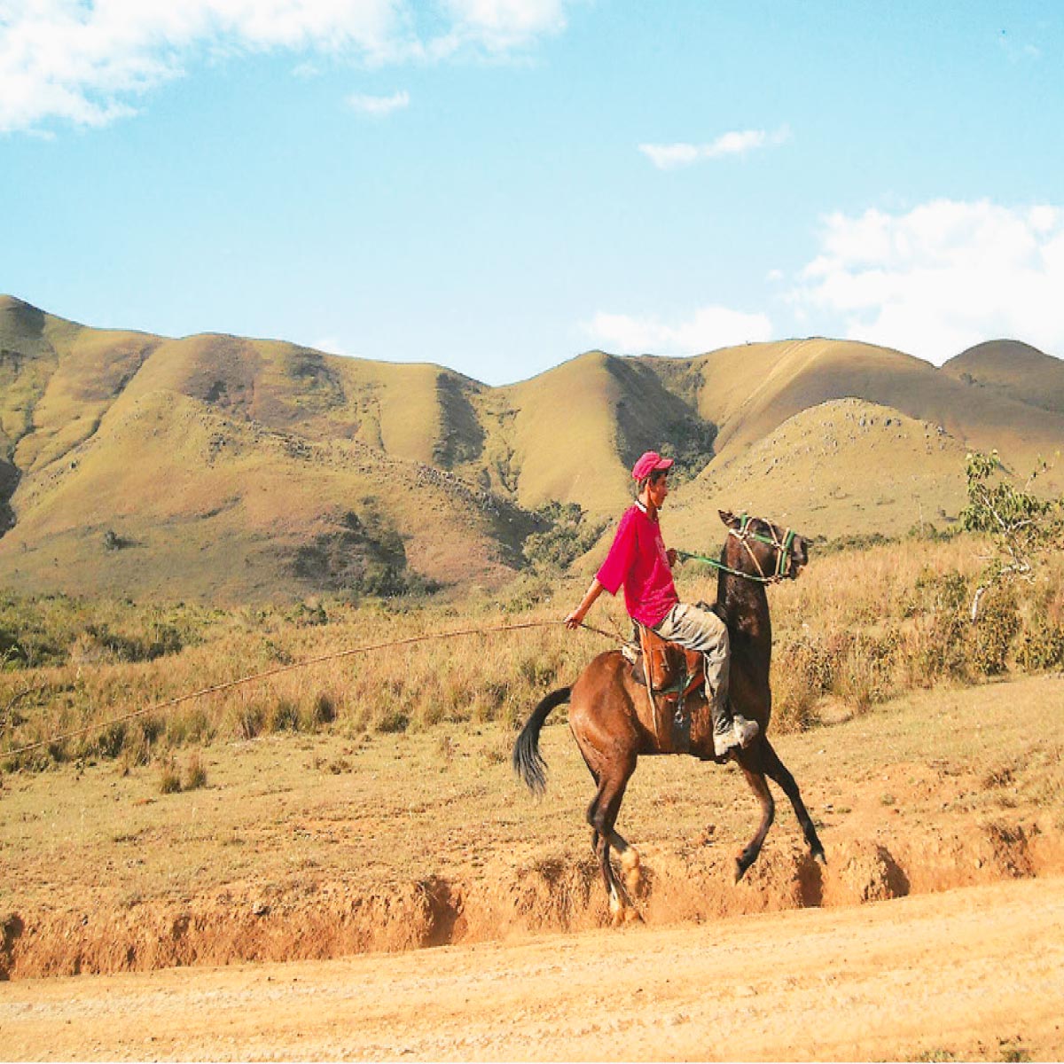 Caminata a Caballo y Quadratrack