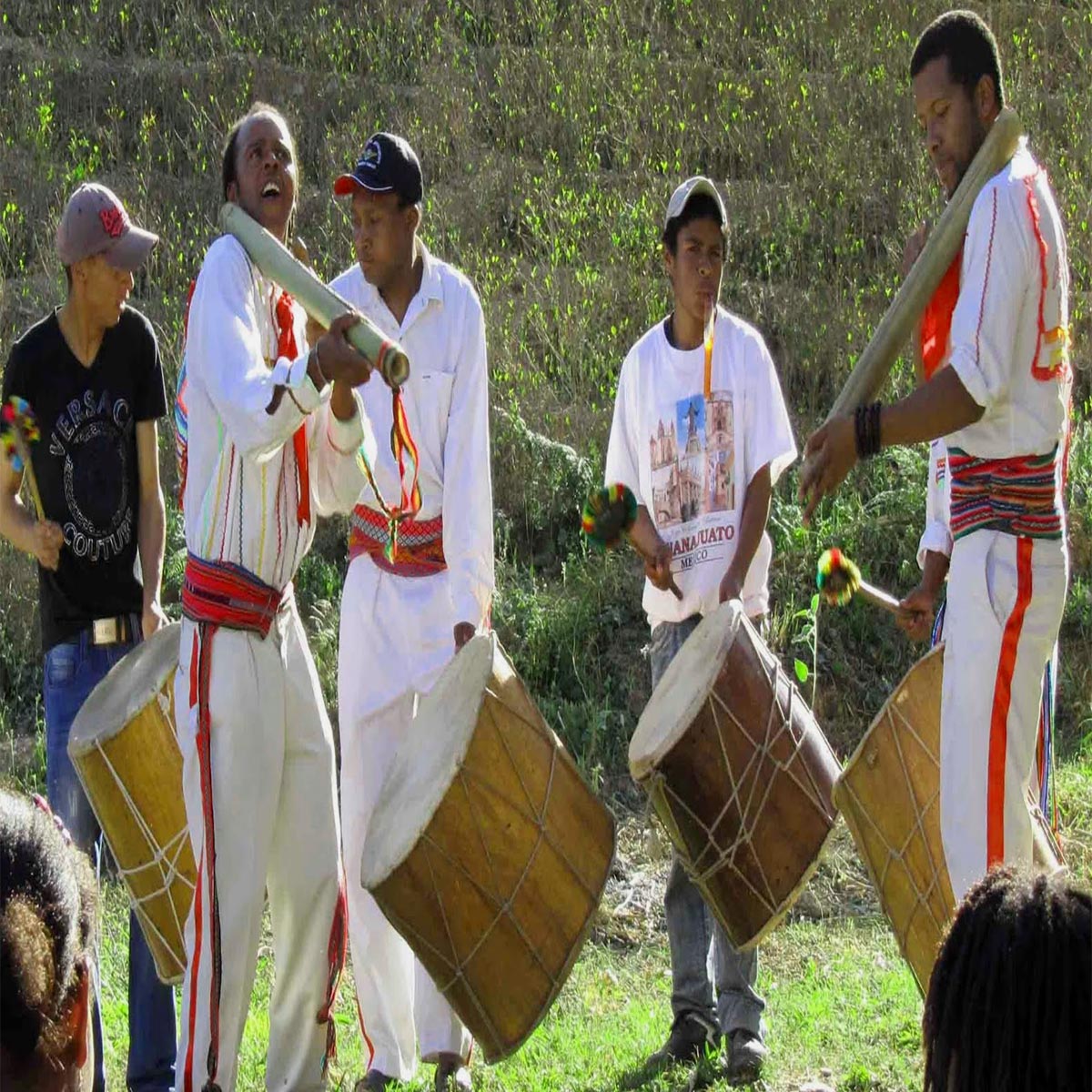 Colpari Naranjani Comunidades Afrobolivianas