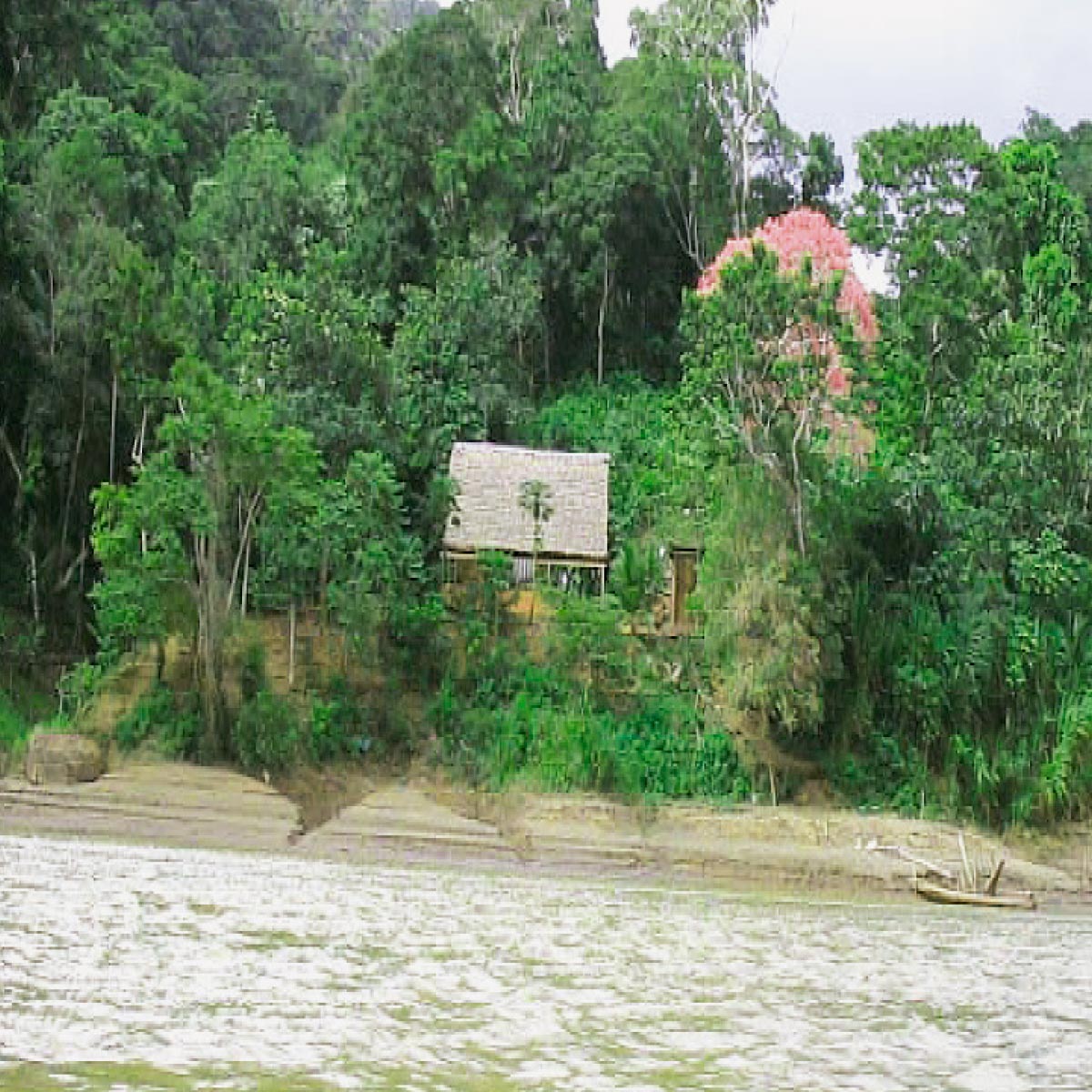 Reserva de la Biosfera y Tierra Comunitaria de Origen Pilon Lajas