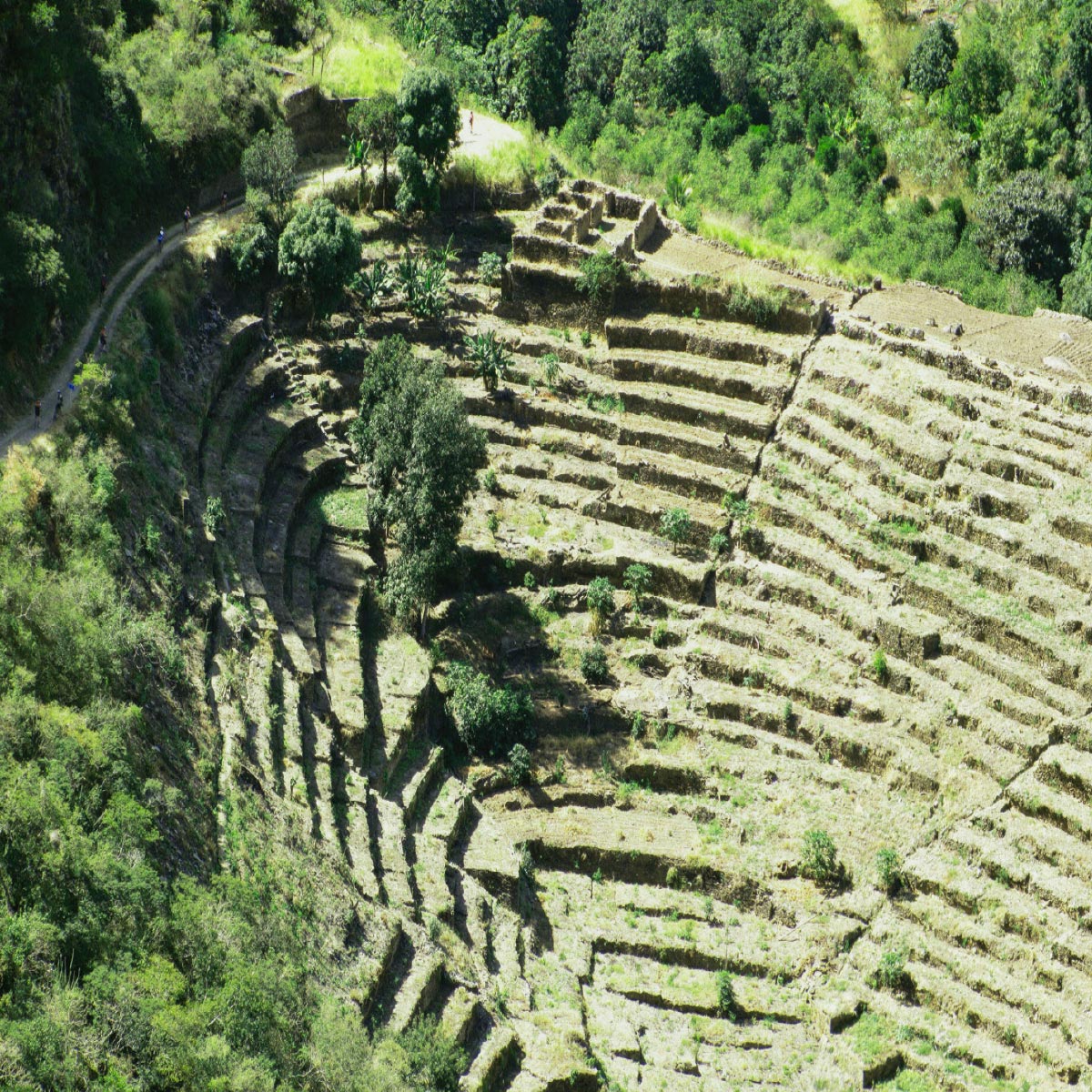 Fortalezas Cultura Tacana en Pasto Grande