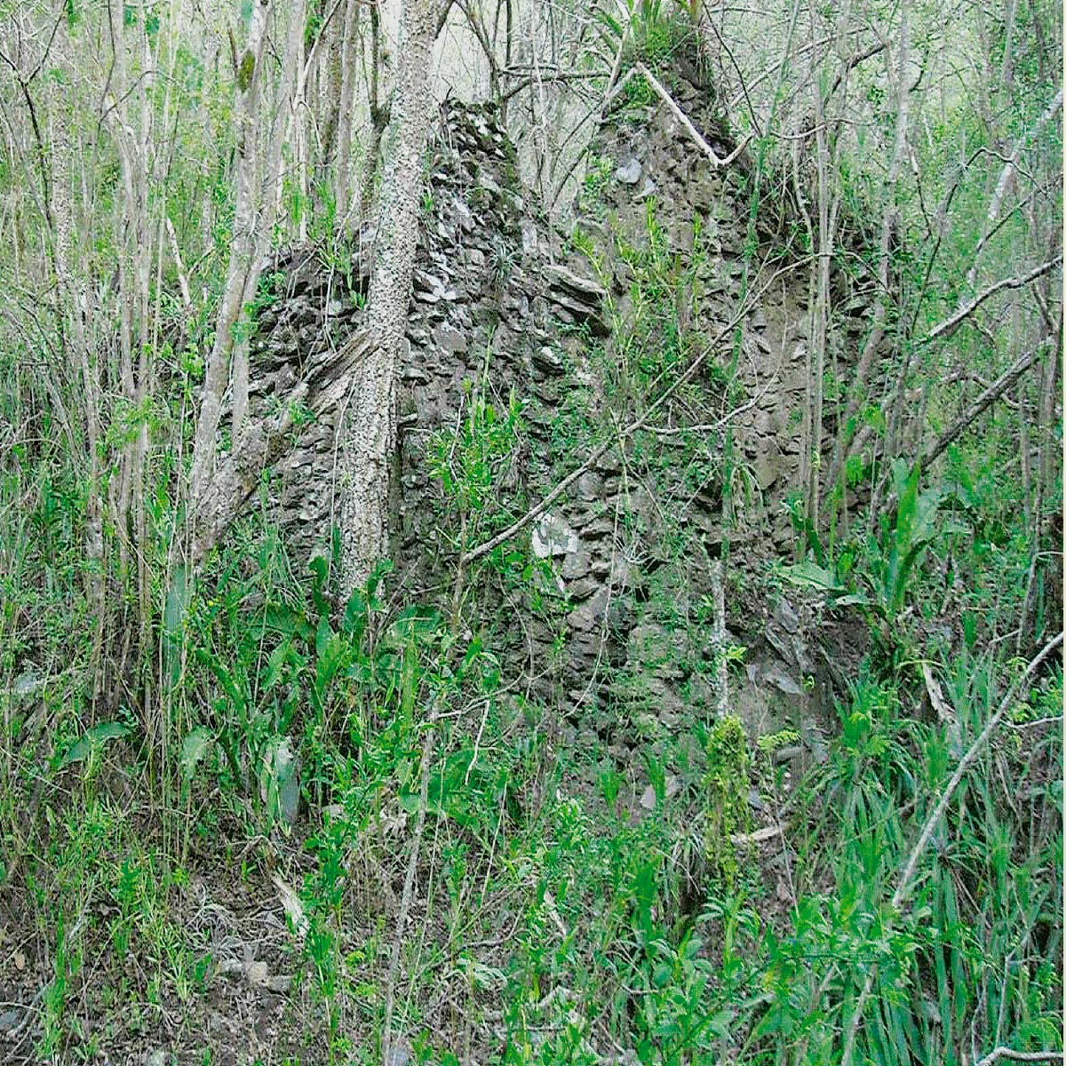 Ruinas de Supay Monte