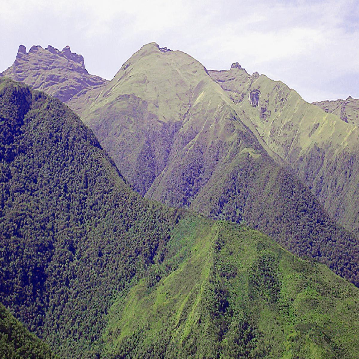 Inca Dormido