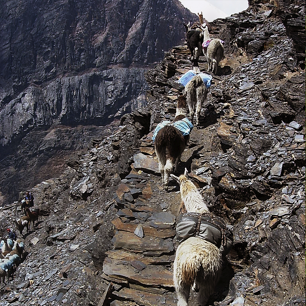 Camino Precolombino Takesi